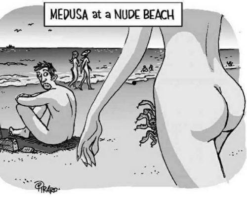 Sgt. C. recomended beach erection nude